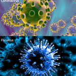 New Coronavirus VS The Flu